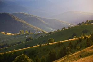 Zarządzanie klasą krok po kroku: sprawdzone metody i wzory zasad
